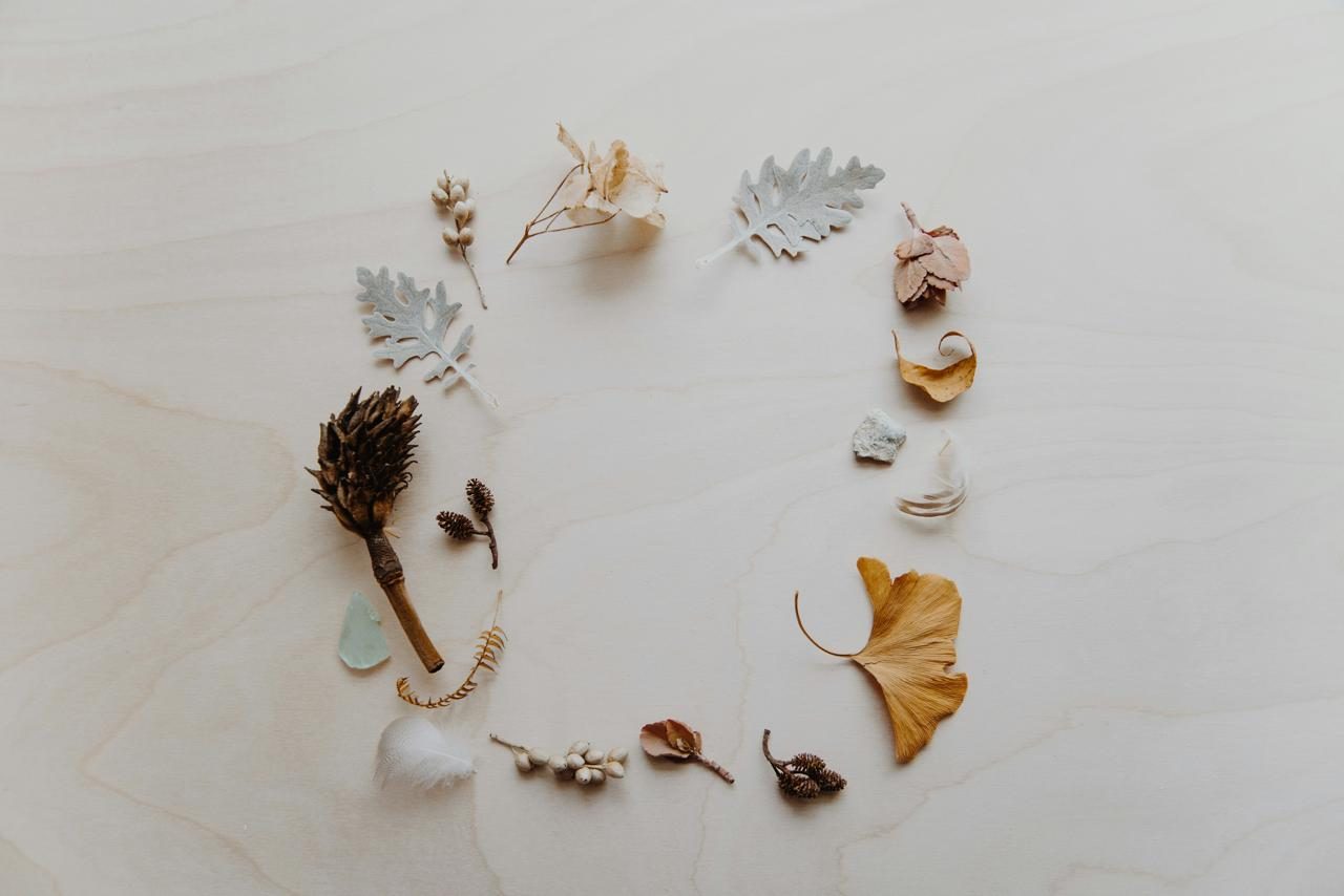 Leaves, seed pods and a feather arranged in a circle on pale wood